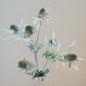 Artificial Eryngium Thistles Sea Holly Green 82cm - E007 