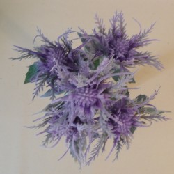 Wild Sea Holly Thistles Plant Purple 35cm - E011 CC1
