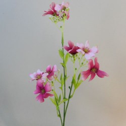 Flax Flowers Dark Pink 48cm- F064 E2