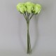 Colourfast Foam Rose Buds Lime Green 8 pack 20cm - R396 BX12
