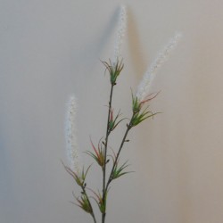 Artificial Fox Tail Flowers Cream 70cm - F061 F3