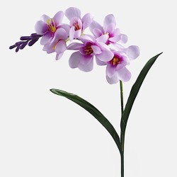 Freesias Stem Lilac 56cm - F028 H1