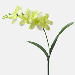 Freesias Stem Lime Green 56cm - F030 H1