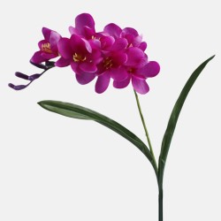 Freesias Stem Magenta Pink 56cm - F029 H1