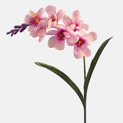 Freesias Stem Pink 56cm - F027 COMING SOON