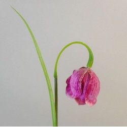 Artificial Fritillaria Pink 43cm - F007A H2