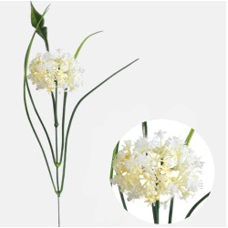 Artificial Garlic Flowers Cream 31cm - G090 EE3