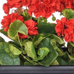 Artificial Plants Red Geraniums in Black Trough - PLA002 OF