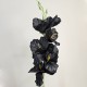Artificial Gladiola Black 54cm - G089