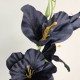 Artificial Gladiola Black 54cm - G089