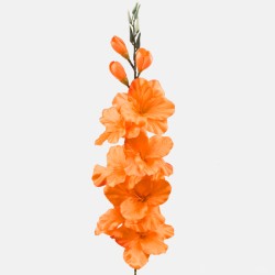 Artificial Gladiola Orange 79cm - G014 HH4