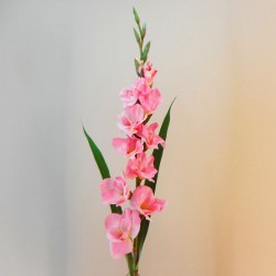 Artificial Gladiola Pink - G013 BX5