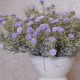 Short Stem Gypsophila Purple 32cm - G025 E2