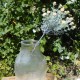 Short Stem Gypsophila Peach 32cm - G026 G3