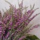 Artificial Heather Plants Purple 54cm - H004 G1