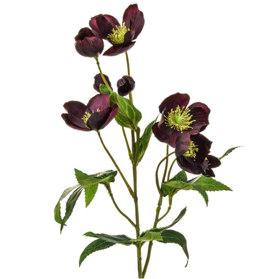 Artificial Helleborus Christmas Roses Burgundy 55cm - H132 T3