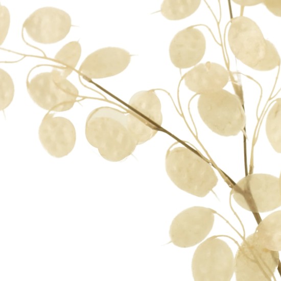 Artificial Honesty Stem Cream 78cm - HON001 S4 Artificial Honesty Stem Cream 78cm - HON001 S4