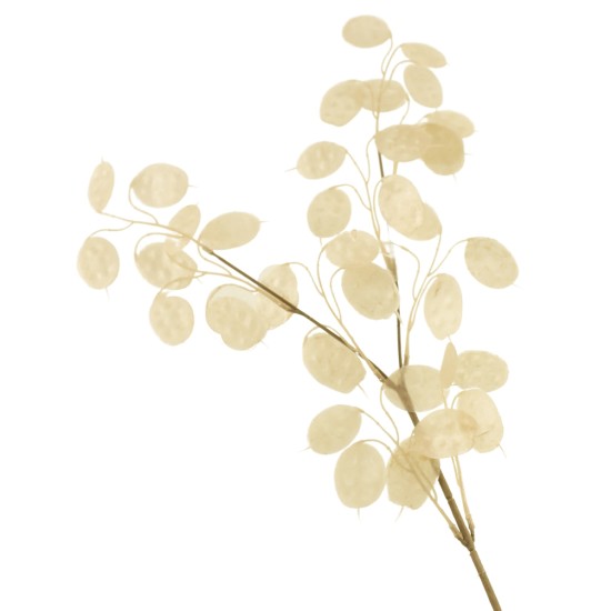 Artificial Honesty Stem Cream 78cm - HON001 S4 Artificial Honesty Stem Cream 78cm - HON001 S4