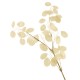 Artificial Honesty Stem Cream 78cm - HON001 S4 Artificial Honesty Stem Cream 78cm - HON001 S4