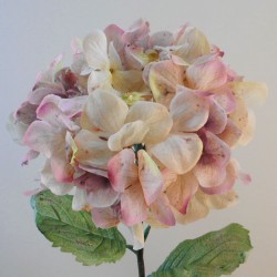 Antique Hydrangea Dusky Pink 76cm | Faux Dried Flowers - H196 F4