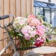 Lotte Hydrangeas Bouquet Pink Green 38cm - H165 Q2