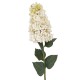 Cream Spear Hydrangea 88cm - H010 HH2