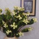 Artificial Hypericum Berries Cream 72cm - H086 E3