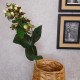 Artificial Hypericum Berries Green Cream 72cm - H199 H3