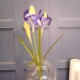 Silk Iris Purple 2 Flowers 63cm - IR002 I2