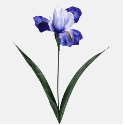 Artificial Irises Blue 60cm - IR001 LL1