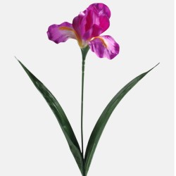 Artificial Irises Magenta Pink 60cm - IR004 LL1