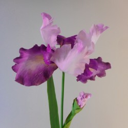 Luxury Flag Iris and Bud Pink 90cm - IR009 EE1
