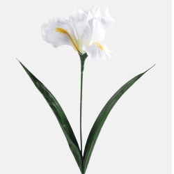 Artificial Irises White 60cm - IR010 LL1