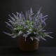 Artificial Lavender Plant 52cm - L137 M2