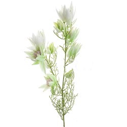 Artificial Leucadendron Green 68cm - L054 I1