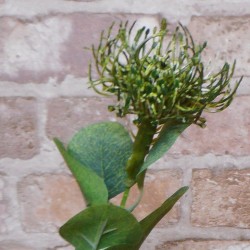 Artificial Leucospermum Protea Green 45cm - L031 P1