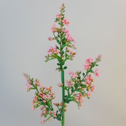 Lilac Buds Coral Pink 58cm - L102 K2