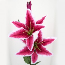 Silk Stargazer Lily Hot Pink 85cm - L013 BB2
