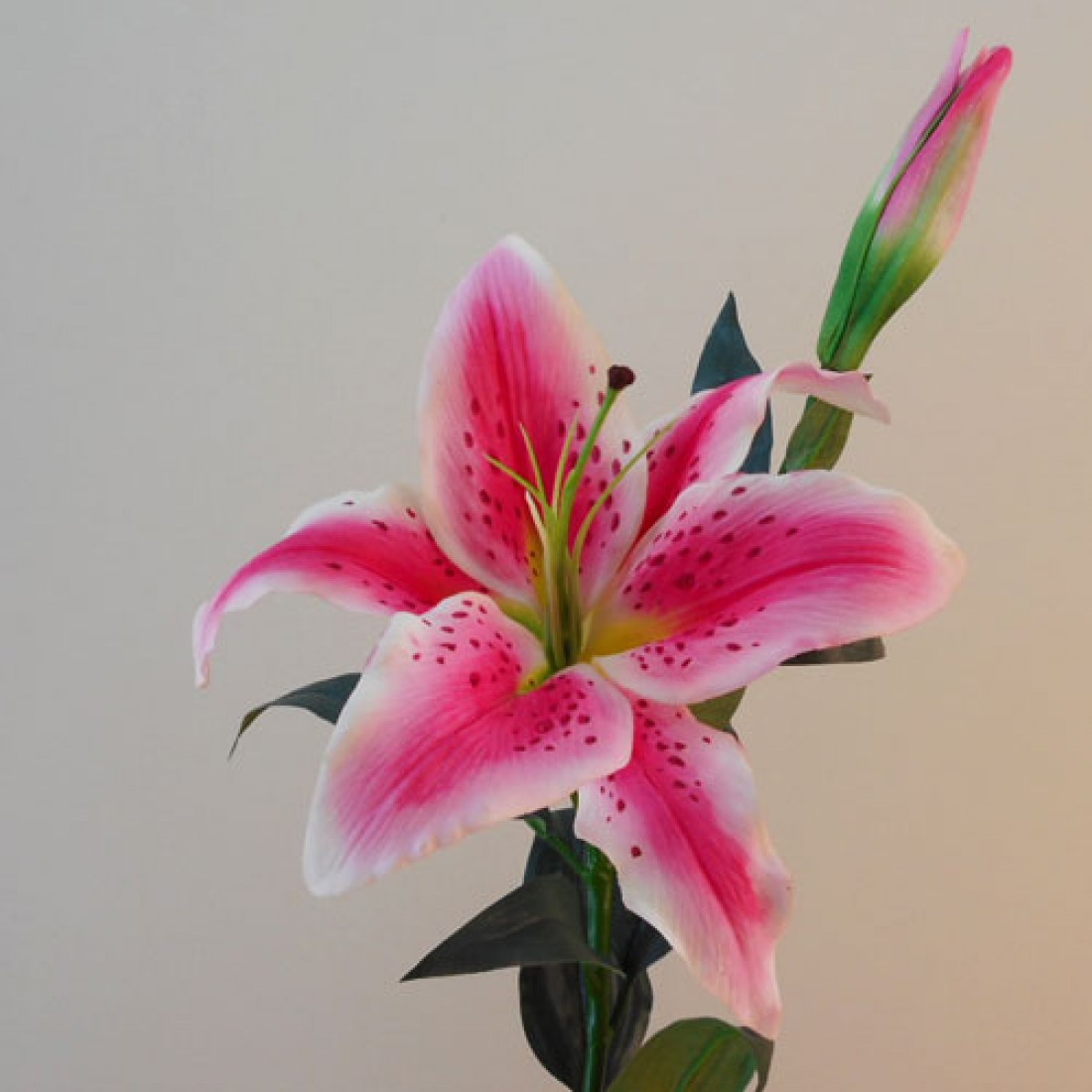 pink star gazer lilies