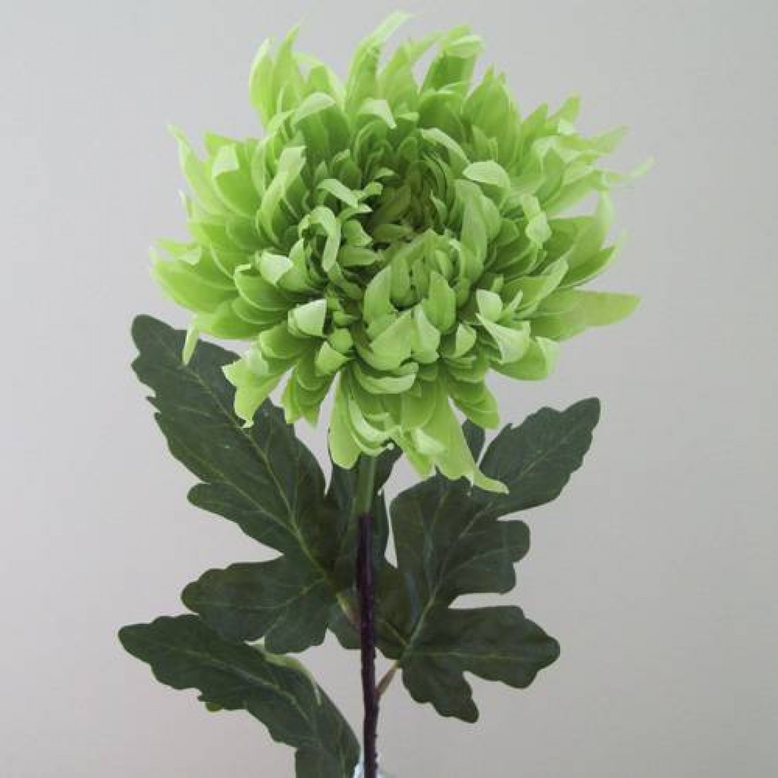 Lime Green Silk Chrysanthemum | Artificial Flowers