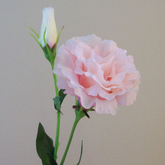 Artificial Double Eustoma Candy Crush Pink 62cm - L160 I3