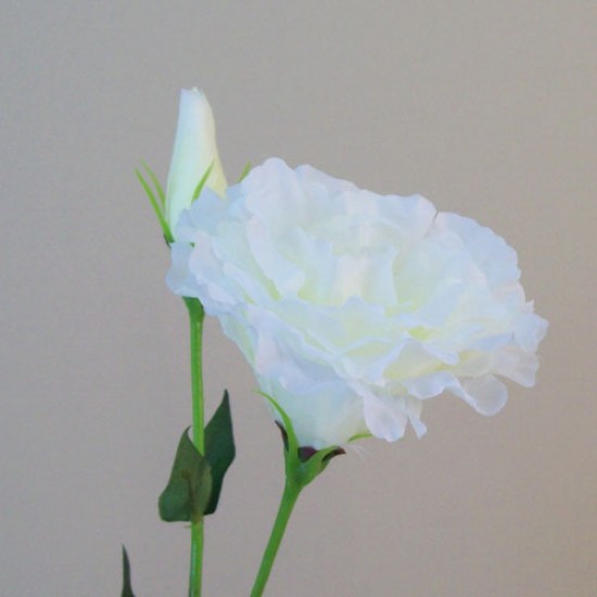 Artificial Double Eustoma Ivory 62cm - L161 I4