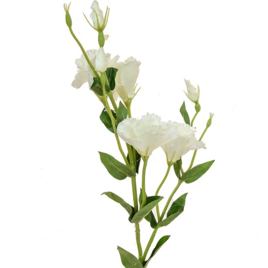 Artificial Eustoma Lisianthus Cream 80cm - L158 H1