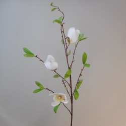 Silk Magnolias Cream 95cm - M001 I2