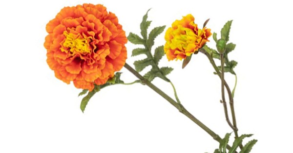 Artificial Marigold Stem Dark Orange 63cm | Artificial Flowers