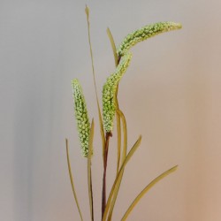 Artificial Millet Pale Green - MIL002 LL2