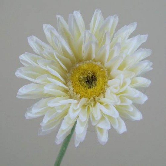 Silk Mini Gerbera Ivory 58cm - G062 H3