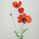 Orange Silk Poppies 64cm - P063 BX21