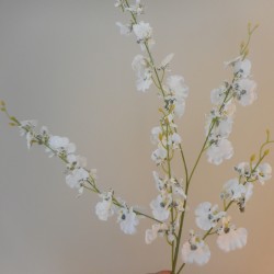 Artificial Oncidium Orchid White 88cm - O023 O2