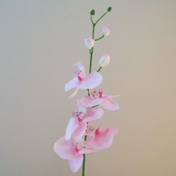 Artificial Phalaenopsis Orchids Candy Crush Pink 90cm - O128 AA1